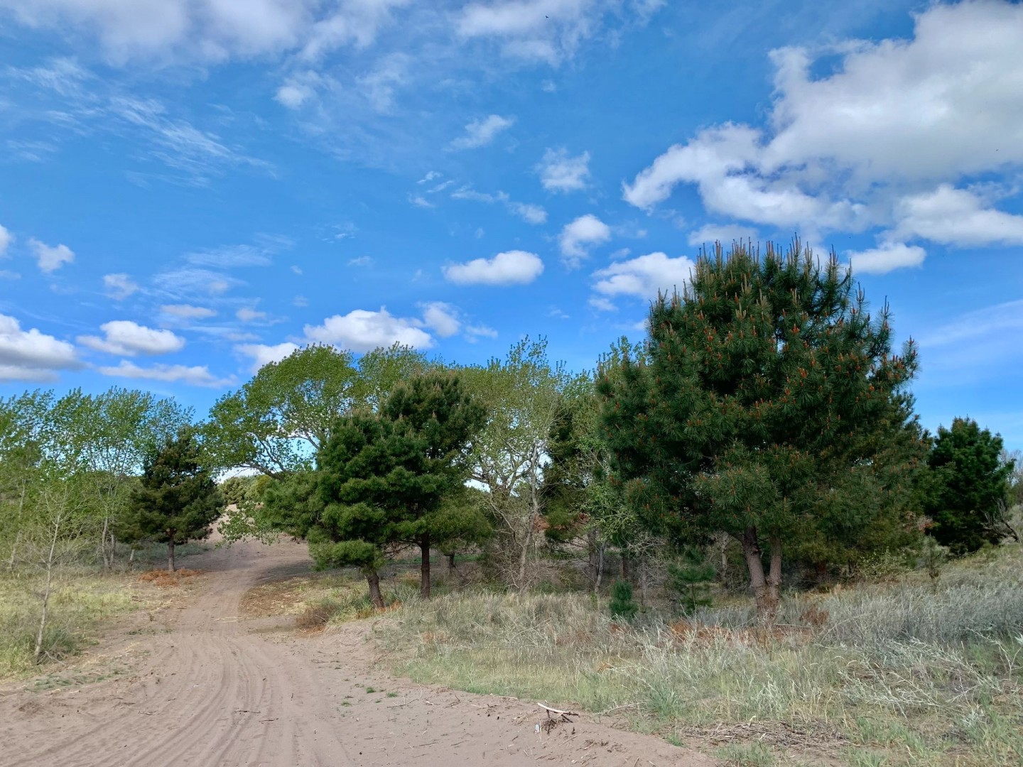 Terreno en Venta en Los Zorzales Y Flamencos, Monte del Este, Monte Hermoso - Bahía Blanca Propiedades | SITIO OFICIAL l