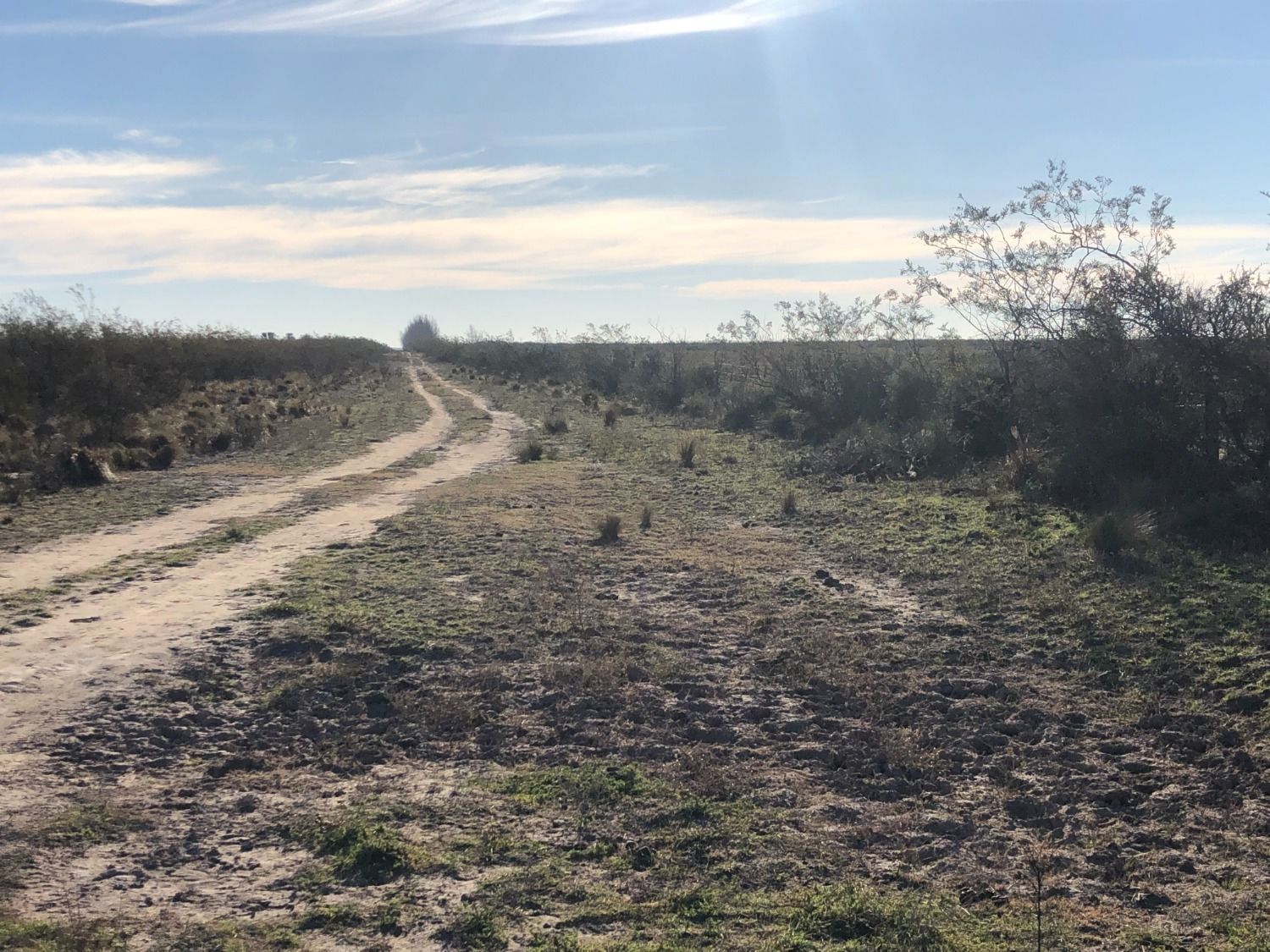 Campo  en Venta en Pradere,  Carmen de Patagones - Bahía Blanca Propiedades | SITIO OFICIAL l