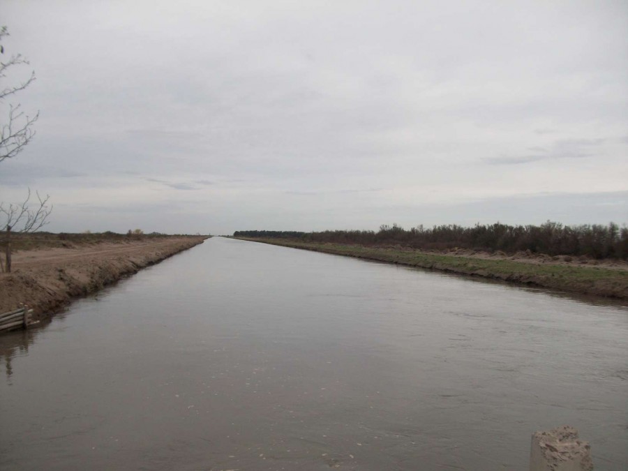 Campo  en Venta en Carmen De Patagones,  Carmen de Patagones - Bahía Blanca Propiedades | SITIO OFICIAL l