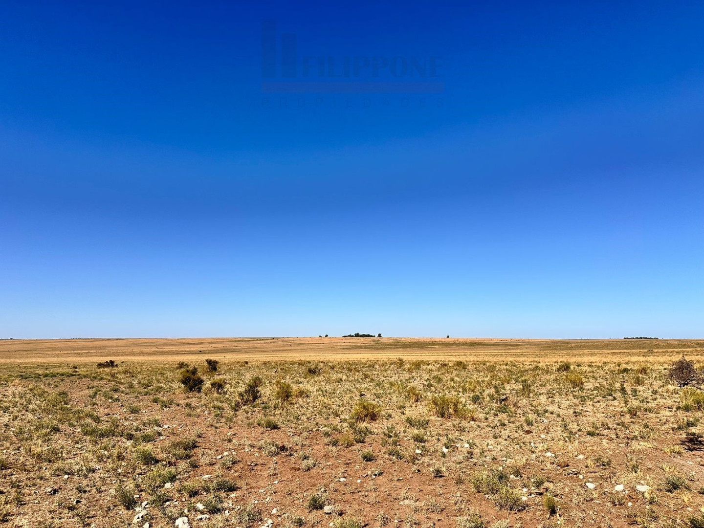 Campo  en Venta en Ruta 35,  Bahía Blanca - Bahía Blanca Propiedades | SITIO OFICIAL l