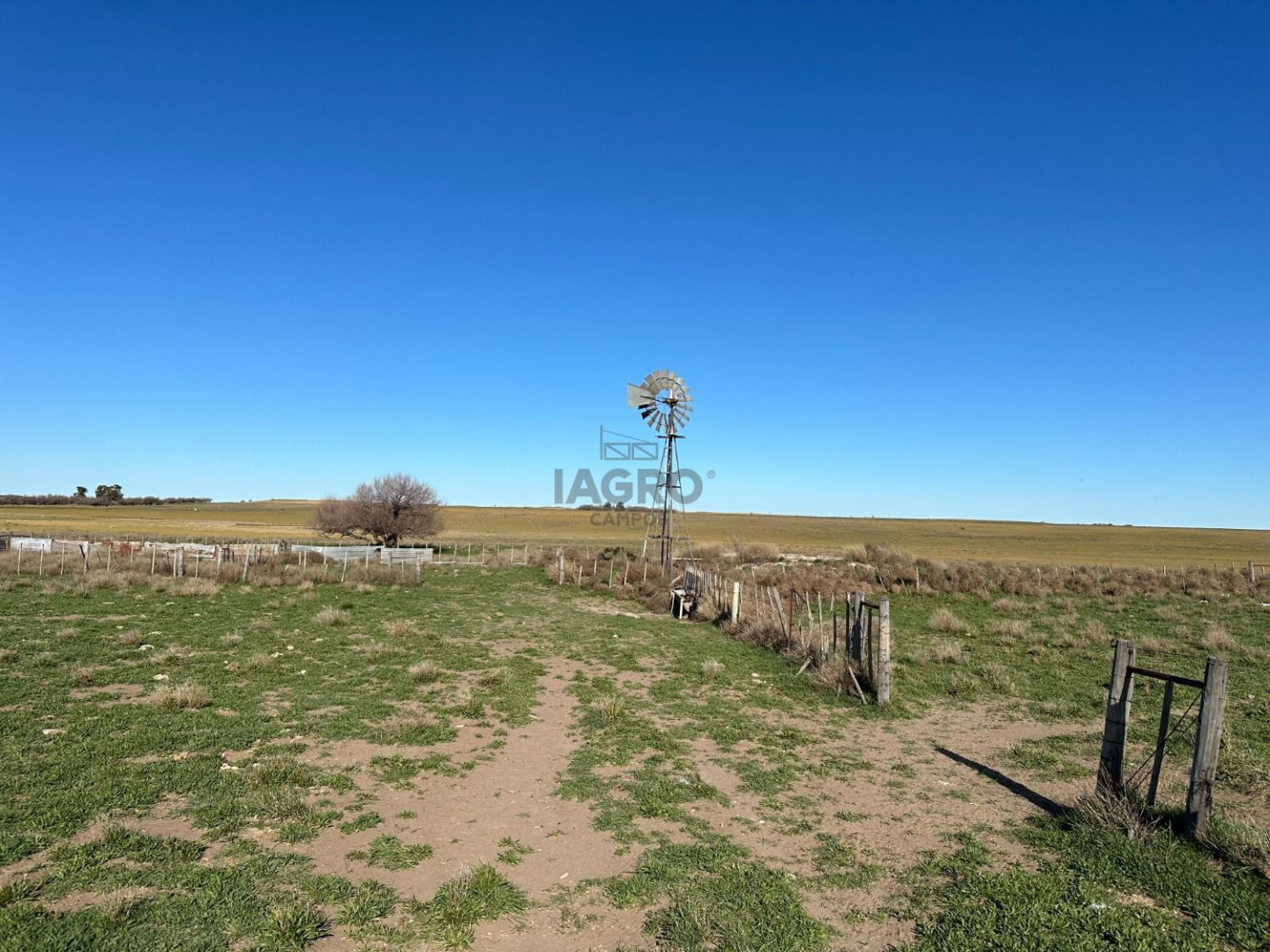 Campo  en Venta en Partido De Villarino,  Villarino - Bahía Blanca Propiedades | SITIO OFICIAL l