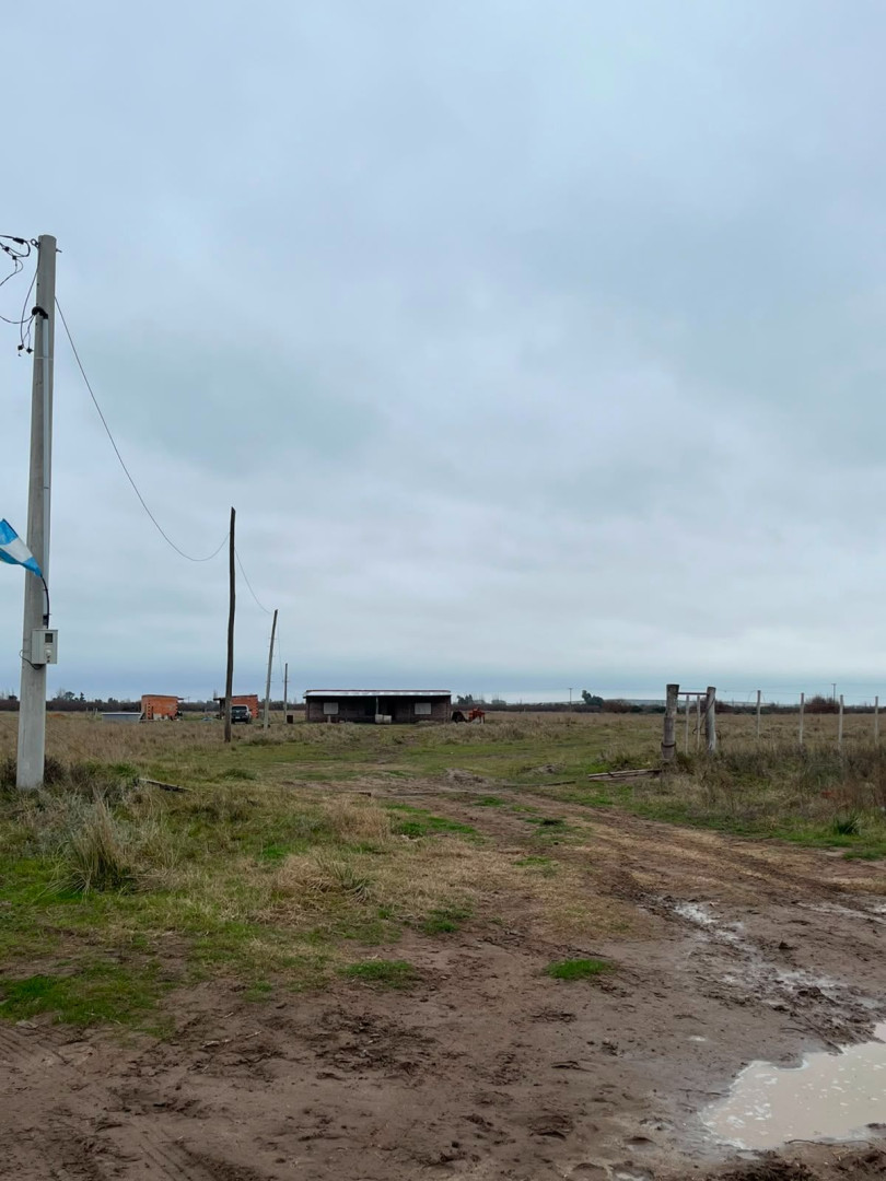 Campo  en Venta en Ruta 3 Klm 704,  Bahía Blanca - Bahía Blanca Propiedades | SITIO OFICIAL l