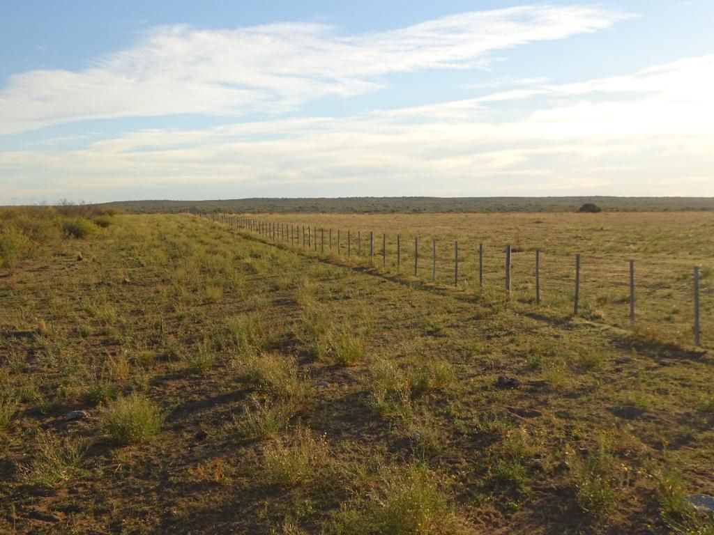 Campo  en Venta   Medanos - Bahía Blanca Propiedades | SITIO OFICIAL l