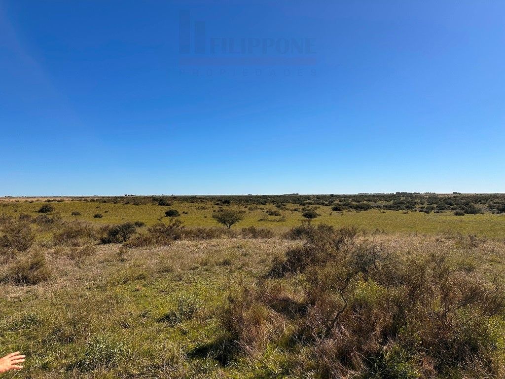 Campo  en Venta en Ruta 35 - Bahía Blanca Propiedades | SITIO OFICIAL l