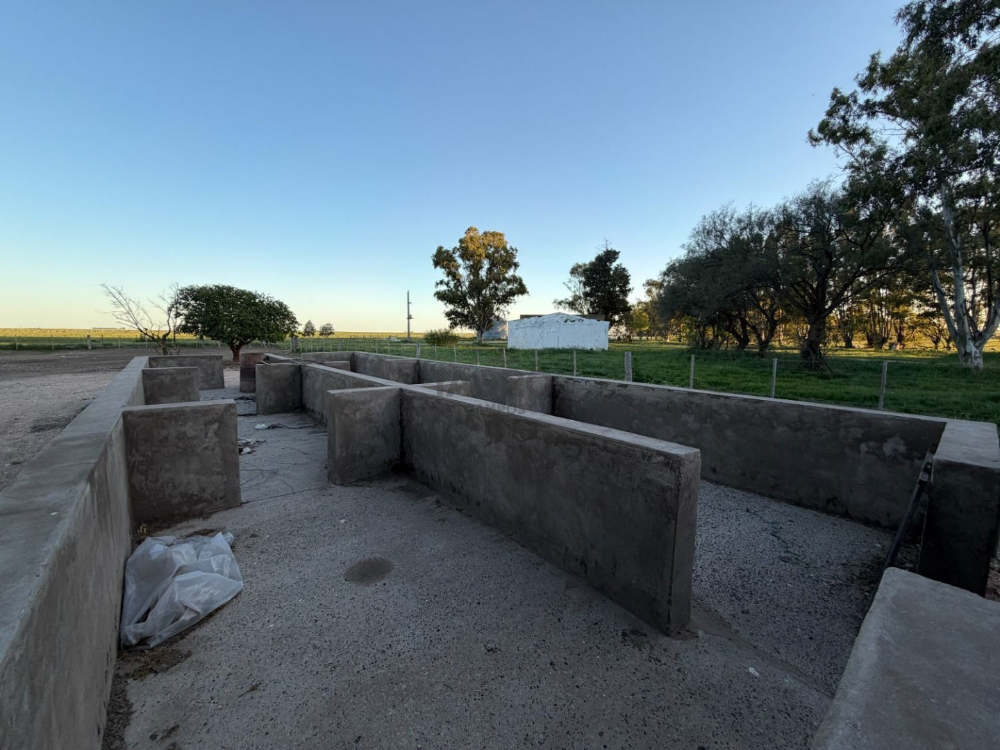 Campo  en Venta en Coronel Dorrego,  Coronel Dorrego - Bahía Blanca Propiedades | SITIO OFICIAL l