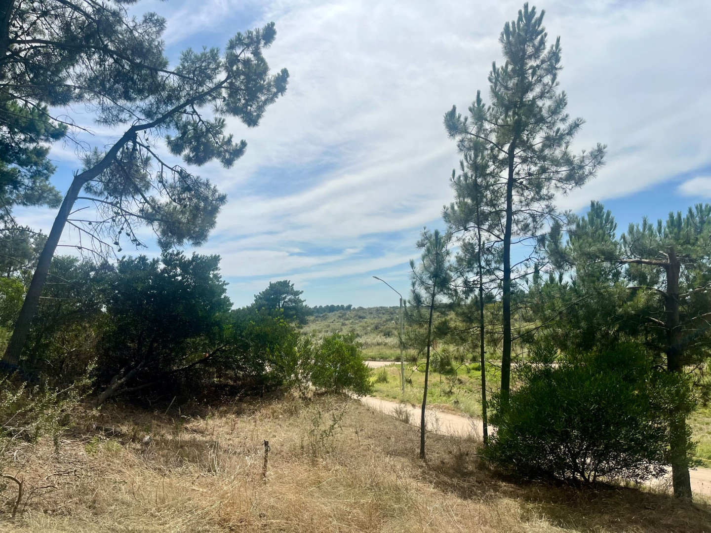 Terreno en Venta en Maipu Entre El Tero Y La Torcaza, Pinar del Golf, Monte Hermoso - Bahía Blanca Propiedades | SITIO OFICIAL l