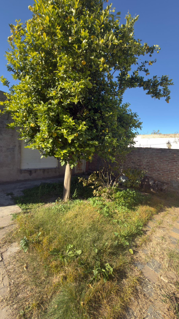 Casa + Departamento en Venta en Caseros 2542, Villa Mitre, Bahía Blanca - Bahía Blanca Propiedades | SITIO OFICIAL l