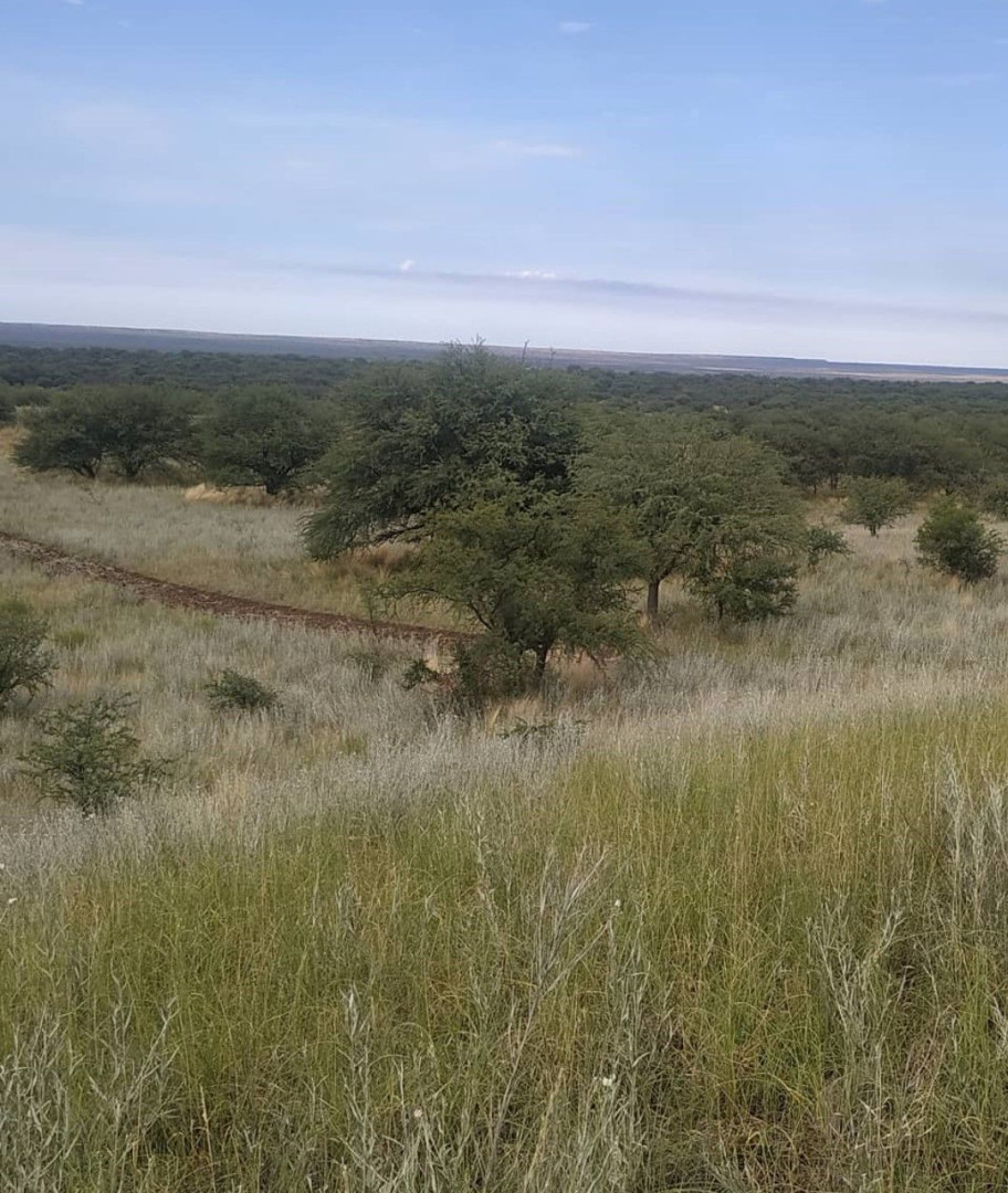 Campo  en Venta en Hucal-La Pampa,  Bahía Blanca - Bahía Blanca Propiedades | SITIO OFICIAL l