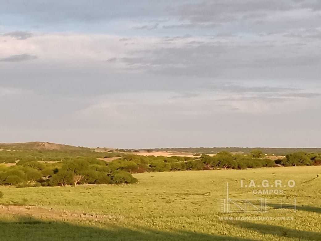 Campo  en Venta en Villarino,  Villarino - Bahía Blanca Propiedades | SITIO OFICIAL l