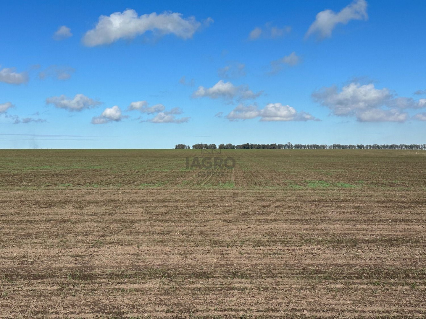 Campo  en Venta en Ruta 51,  Bahía Blanca - Bahía Blanca Propiedades | SITIO OFICIAL l