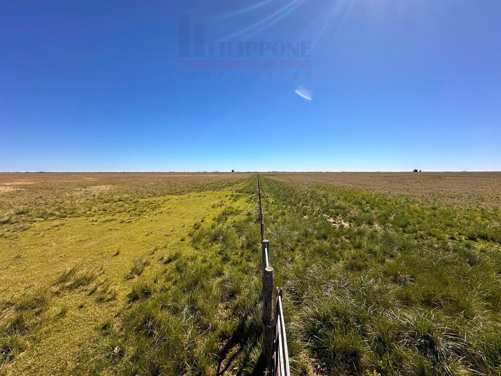 Campo  en Venta en Ruta 35 - Bahía Blanca Propiedades | SITIO OFICIAL l