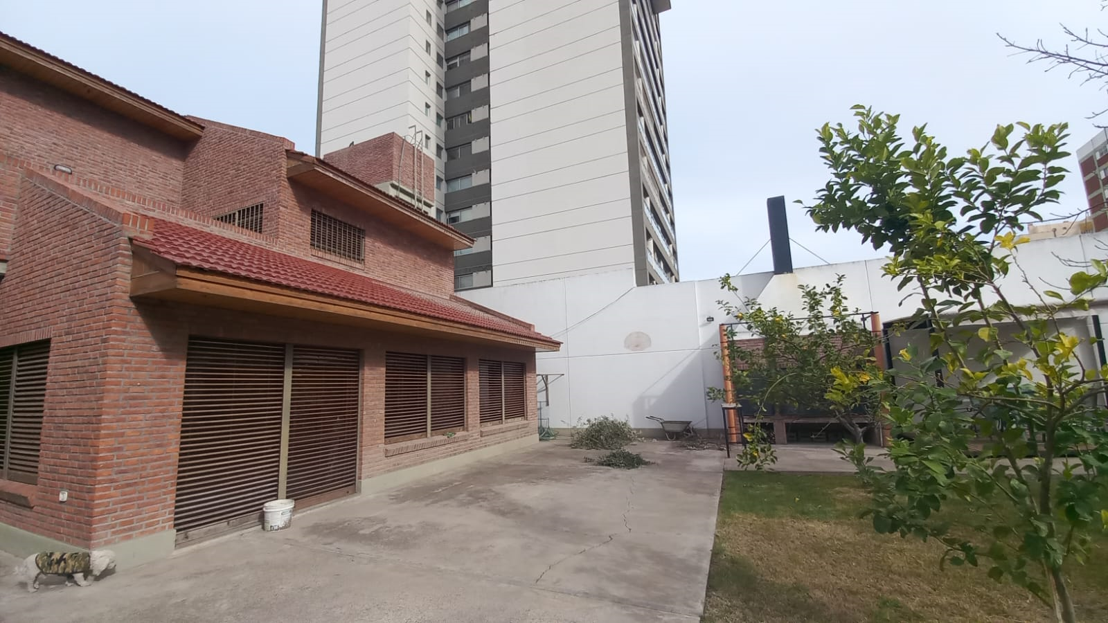 Casa en Venta en Blandengues 25, Centro, Bahía Blanca - Bahía Blanca Propiedades | SITIO OFICIAL l