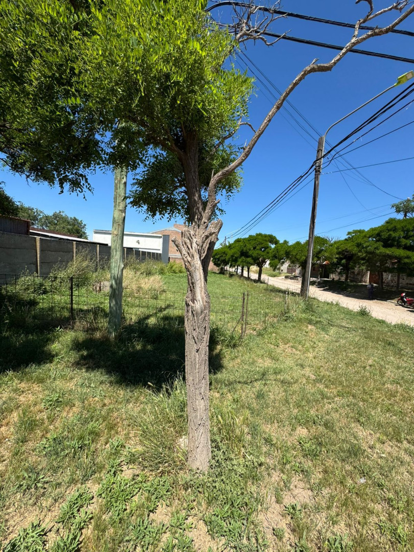 Terreno en Venta en Witcomb 3890,  Bahía Blanca - Bahía Blanca Propiedades | SITIO OFICIAL l