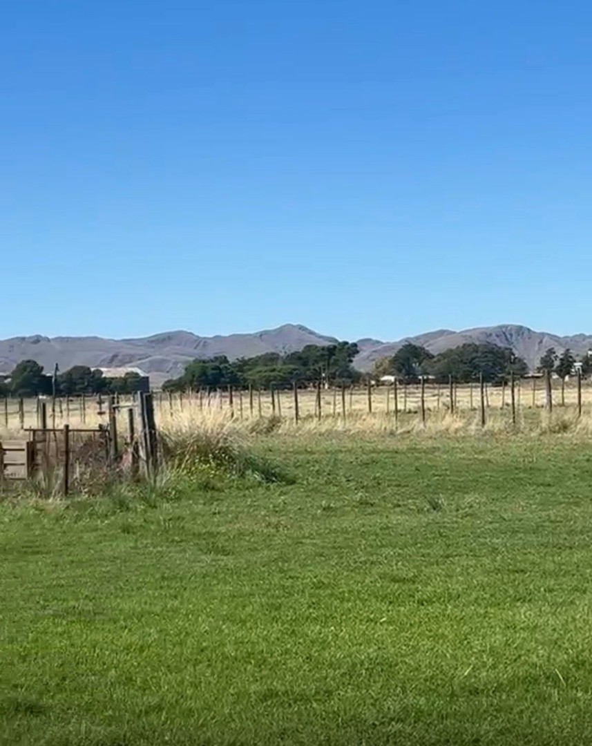 Terreno en Venta en Los Baguales, Saavedra, Provincia De Buenos Aires,  Saavedra - Bahía Blanca Propiedades | SITIO OFICIAL l