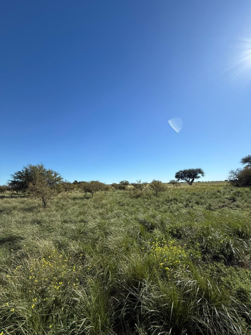 Campo  en Venta en Ruta 22, Algarrobo, Villarino ,  Algarrobo - Bahía Blanca Propiedades | SITIO OFICIAL l