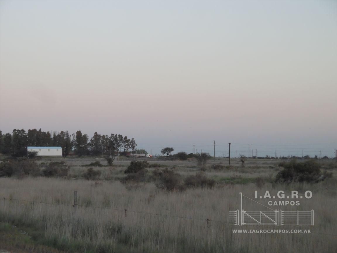 Terreno en Venta en Ruta 3 Sur,  Bahía Blanca - Bahía Blanca Propiedades | SITIO OFICIAL l