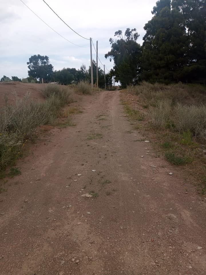 Terreno en Venta  El Sauce, Monte Hermoso - Bahía Blanca Propiedades | SITIO OFICIAL l