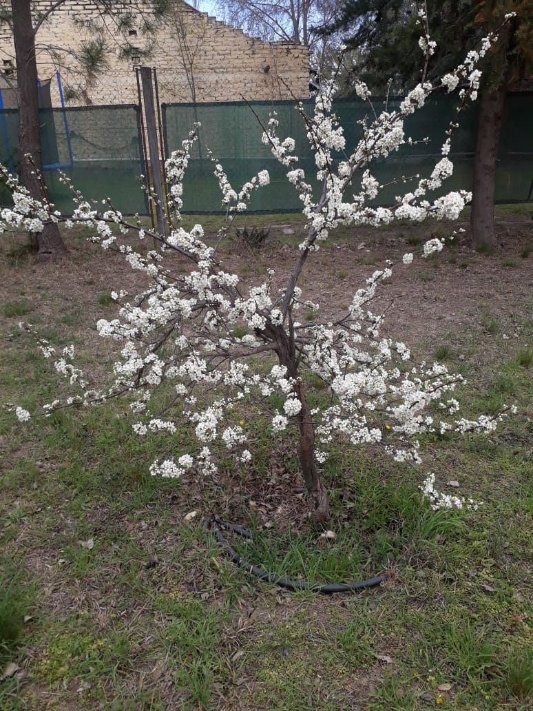 Terreno en Venta en Gregorio Rozas 3154,  Bahía Blanca - Bahía Blanca Propiedades | SITIO OFICIAL l
