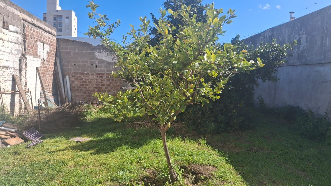 Casa en Venta en Brasil 33, Pacifico, Bahía Blanca - Bahía Blanca Propiedades | SITIO OFICIAL l