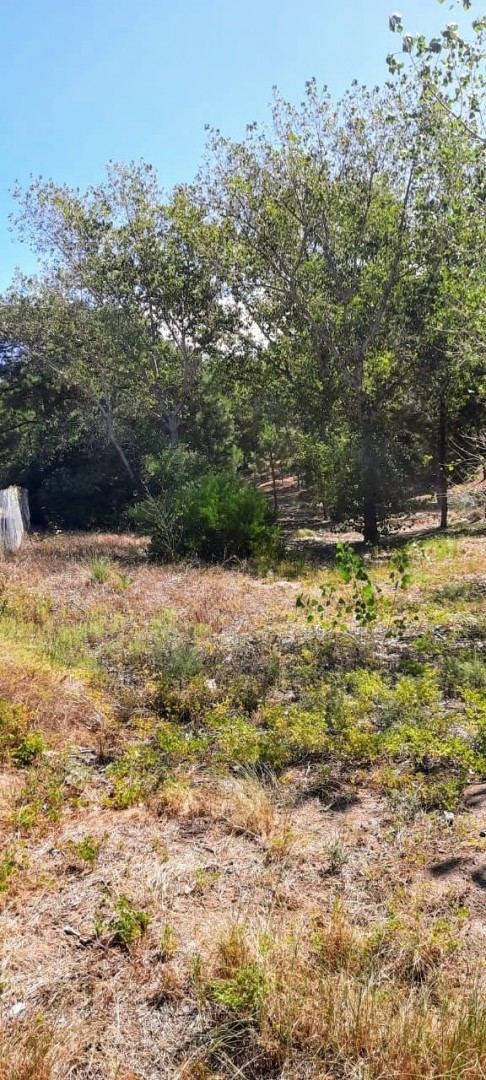 Terreno en Venta en Pinar Del Golf,  Monte Hermoso - Bahía Blanca Propiedades | SITIO OFICIAL l