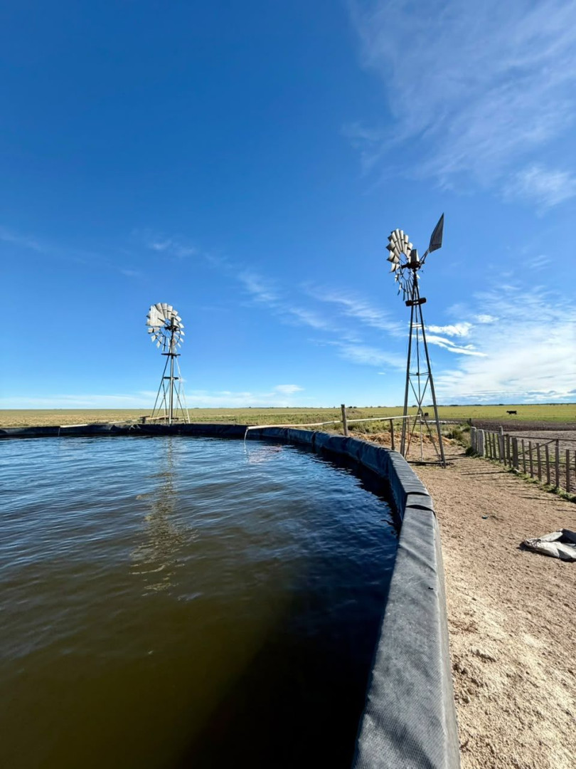 Campo  en Venta   Villalonga - Bahía Blanca Propiedades | SITIO OFICIAL l