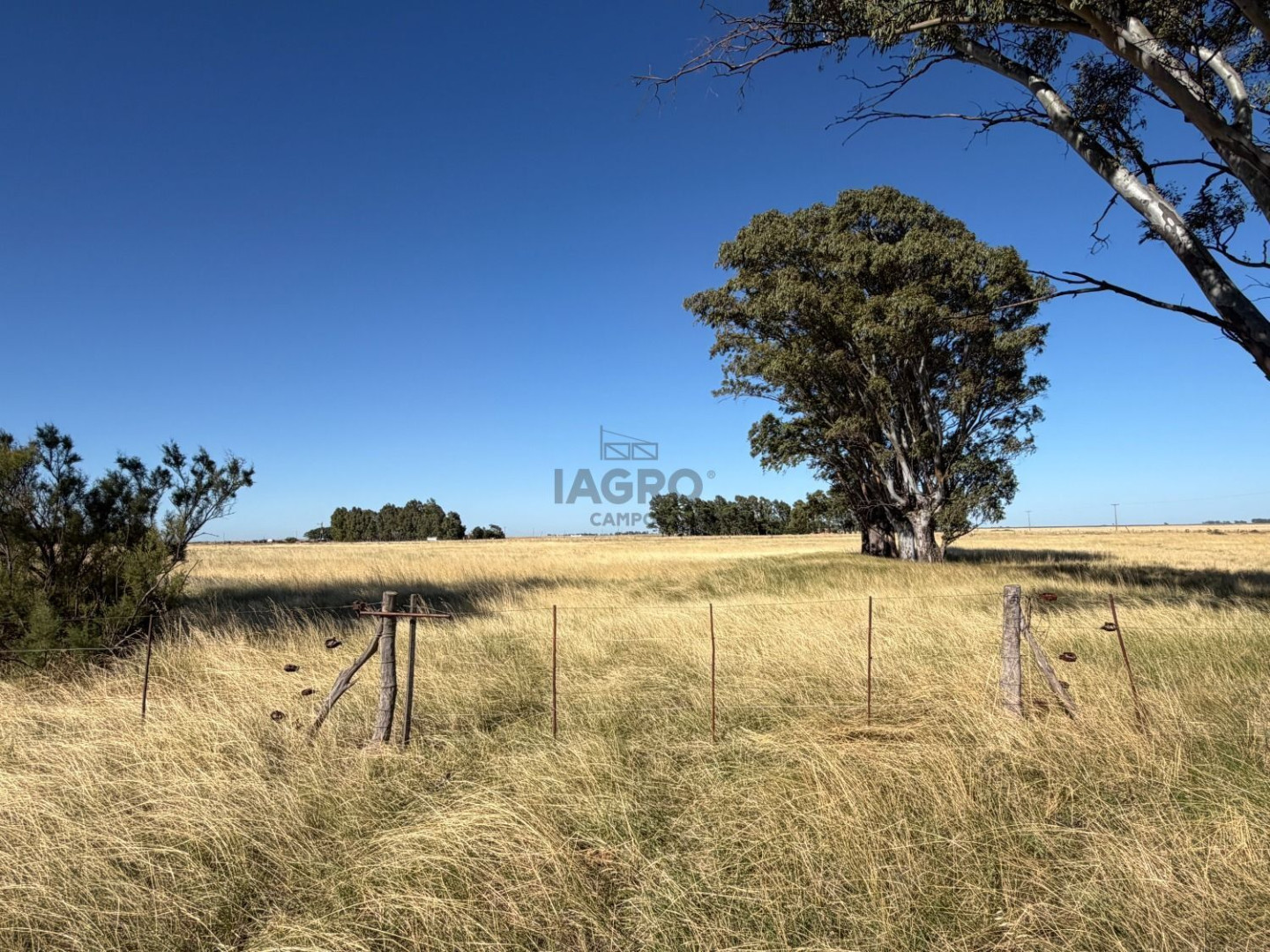 Campo  en Venta en Bajo Hondo,  Bahía Blanca - Bahía Blanca Propiedades | SITIO OFICIAL l