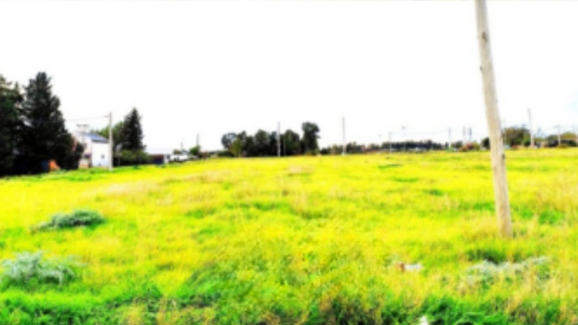 Terreno en Venta en El Boyero Y Liniers, Patagonia Norte, Bahía Blanca - Bahía Blanca Propiedades | SITIO OFICIAL l