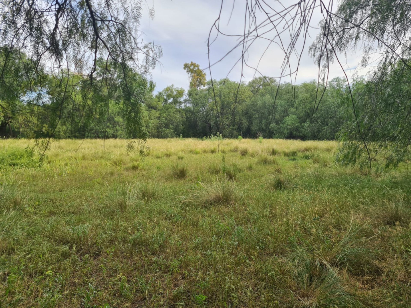 Casaquinta en Venta en General Artigas 600,  General Cerri - Bahía Blanca Propiedades | SITIO OFICIAL l