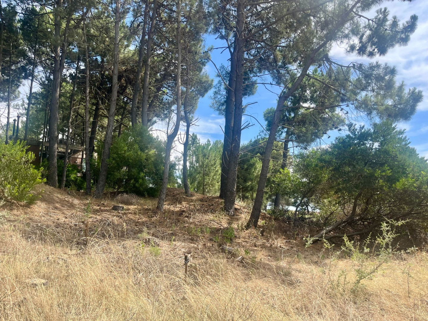 Terreno en Venta en Maipu Entre El Tero Y La Torcaza, Pinar del Golf, Monte Hermoso - Bahía Blanca Propiedades | SITIO OFICIAL l