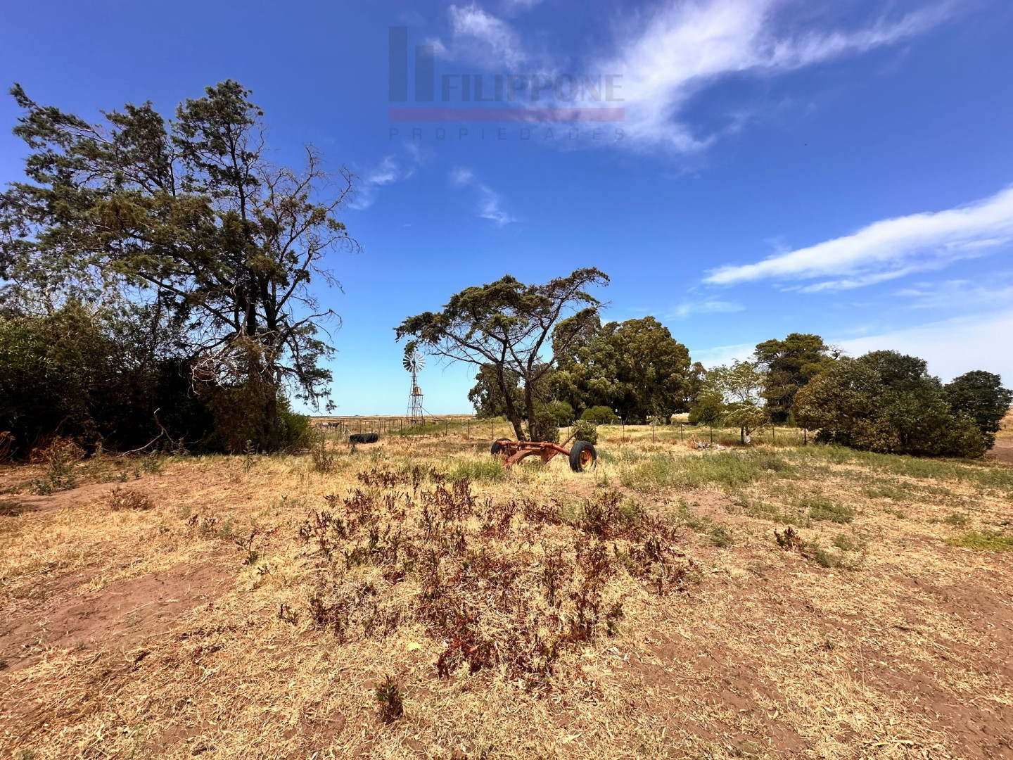 Campo  en Venta   Coronel Dorrego - Bahía Blanca Propiedades | SITIO OFICIAL l