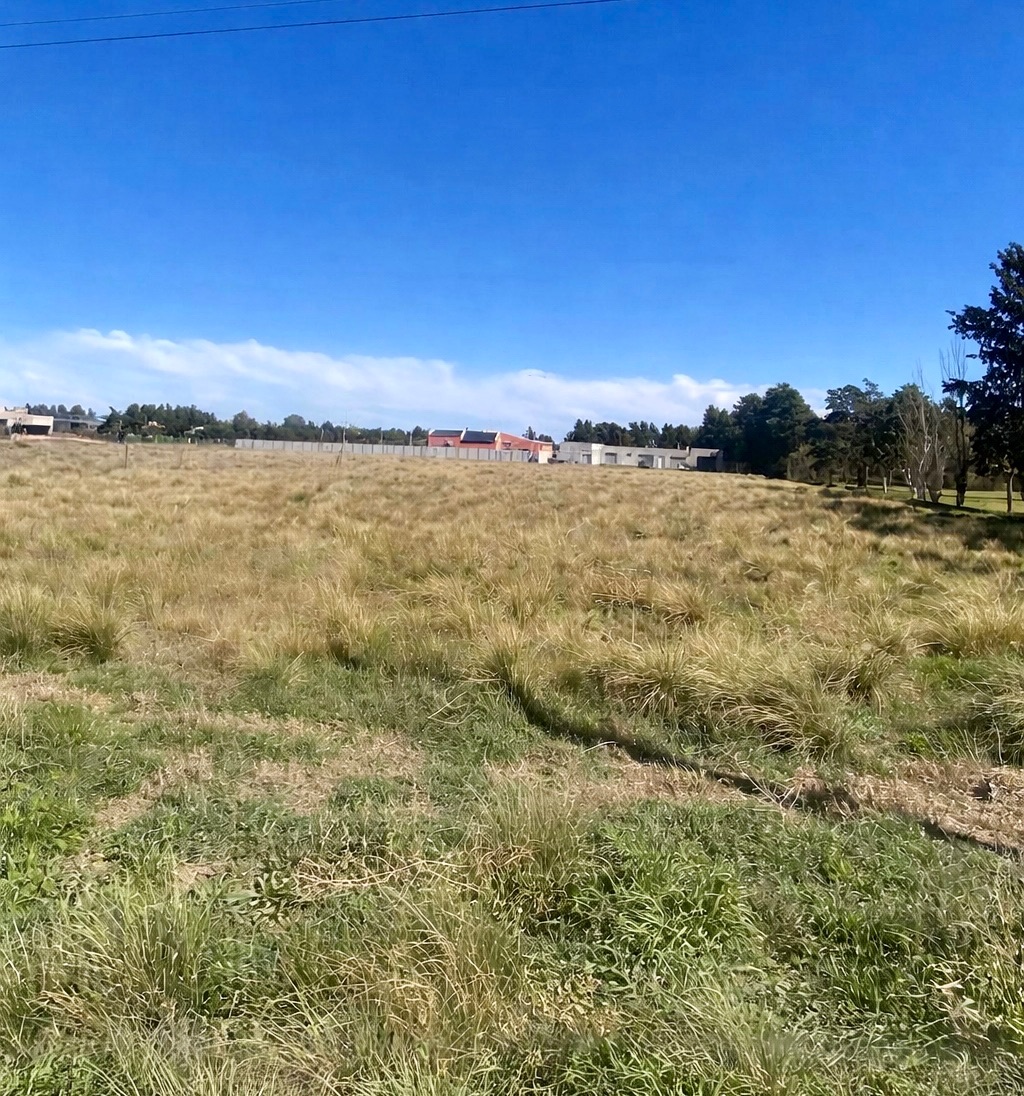 Terreno en Venta en Horacio Molina Rega , Los Muñecos, Bahía Blanca - Bahía Blanca Propiedades | SITIO OFICIAL l