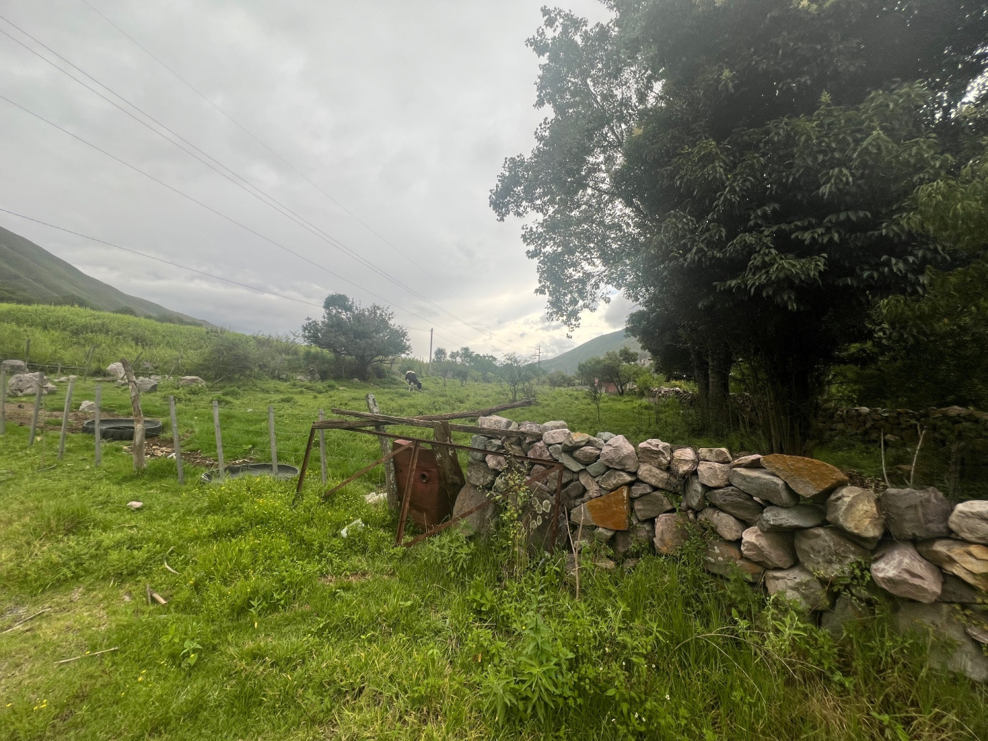 Terreno en Venta en Barcena,  Tumbaya - Jujuy - Bahía Blanca Propiedades | SITIO OFICIAL l