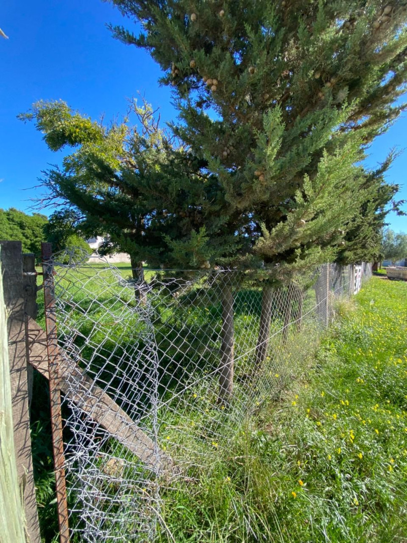 Terreno en Venta  Patagonia, Bahía Blanca - Bahía Blanca Propiedades | SITIO OFICIAL l
