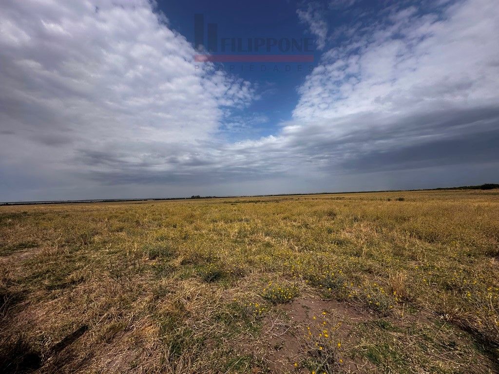 Campo  en Venta en Ruta Nacional 35 Km15,  Bahía Blanca - Bahía Blanca Propiedades | SITIO OFICIAL l