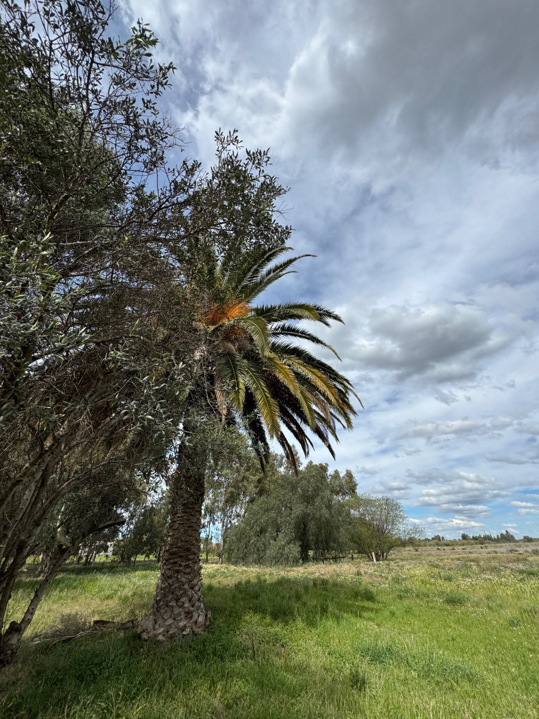 Casaquinta en Venta en Bustamante Y Colombres,  Medanos - Bahía Blanca Propiedades | SITIO OFICIAL l