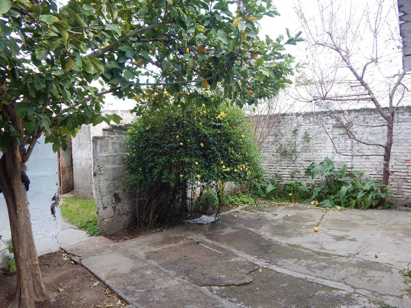 Casa en Venta en GUEMES 1210, Pacifico, Bahía Blanca - Bahía Blanca Propiedades | SITIO OFICIAL l