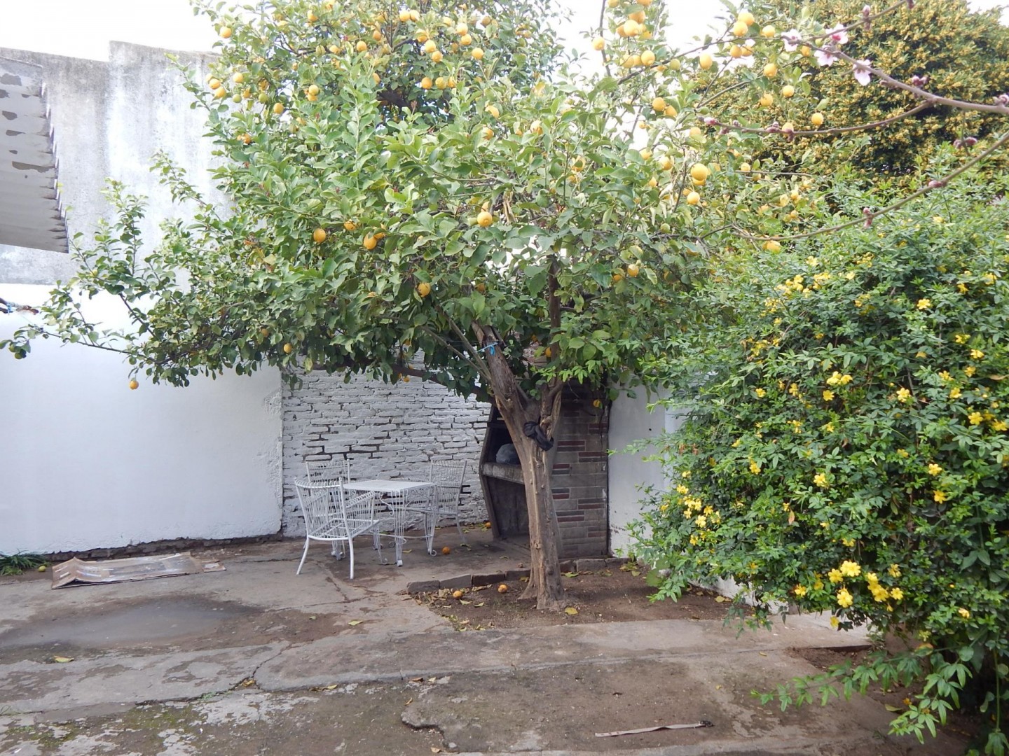 Casa en Venta en GUEMES 1210, Pacifico, Bahía Blanca - Bahía Blanca Propiedades | SITIO OFICIAL l