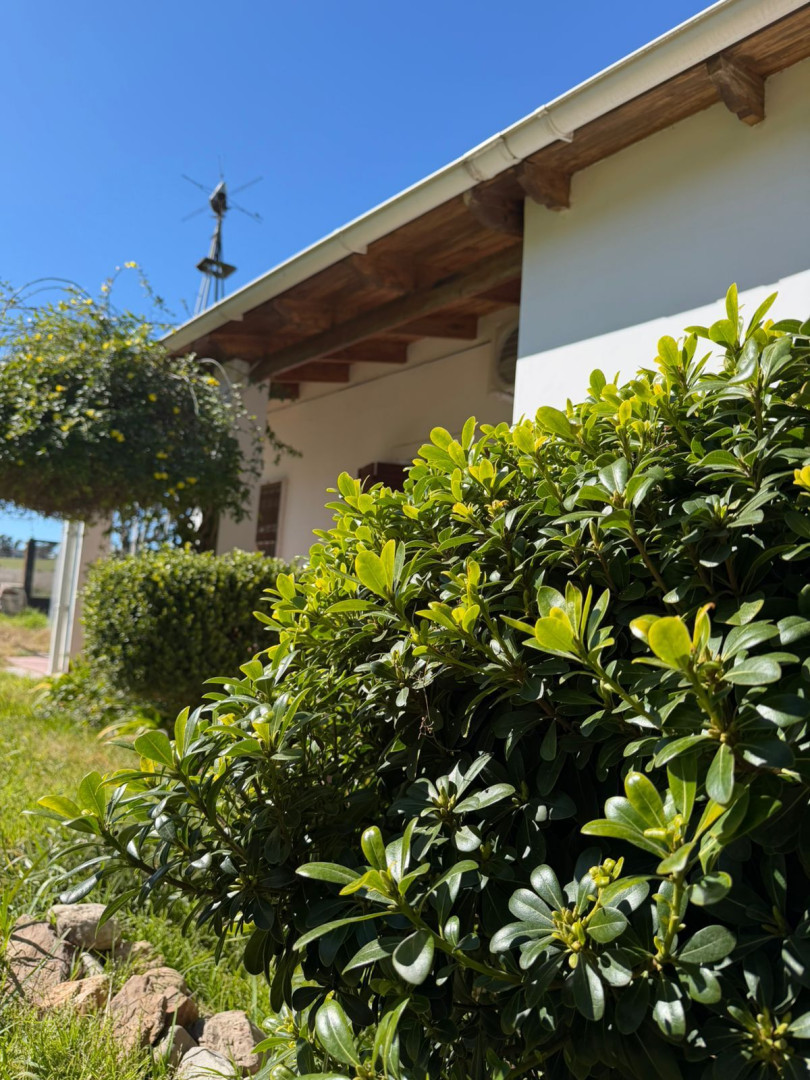Quinta en Venta en Los Nogales Y Rawson, San Miguel, Bahía Blanca - Bahía Blanca Propiedades | SITIO OFICIAL l