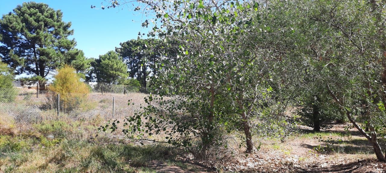 Terreno en Venta en Pinar Del Golf,  Monte Hermoso - Bahía Blanca Propiedades | SITIO OFICIAL l