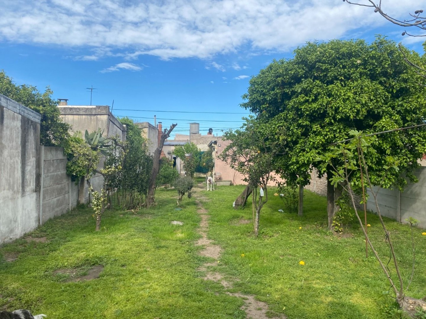 Casa + Departamento en Venta en Avenida Arias 2000, Villa Rosas, Bahía Blanca - Bahía Blanca Propiedades | SITIO OFICIAL l