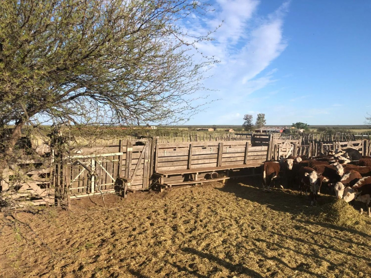 Campo  en Venta en Ruta Provincial 34,  Lihuel Calel - La Pampa - Bahía Blanca Propiedades | SITIO OFICIAL l