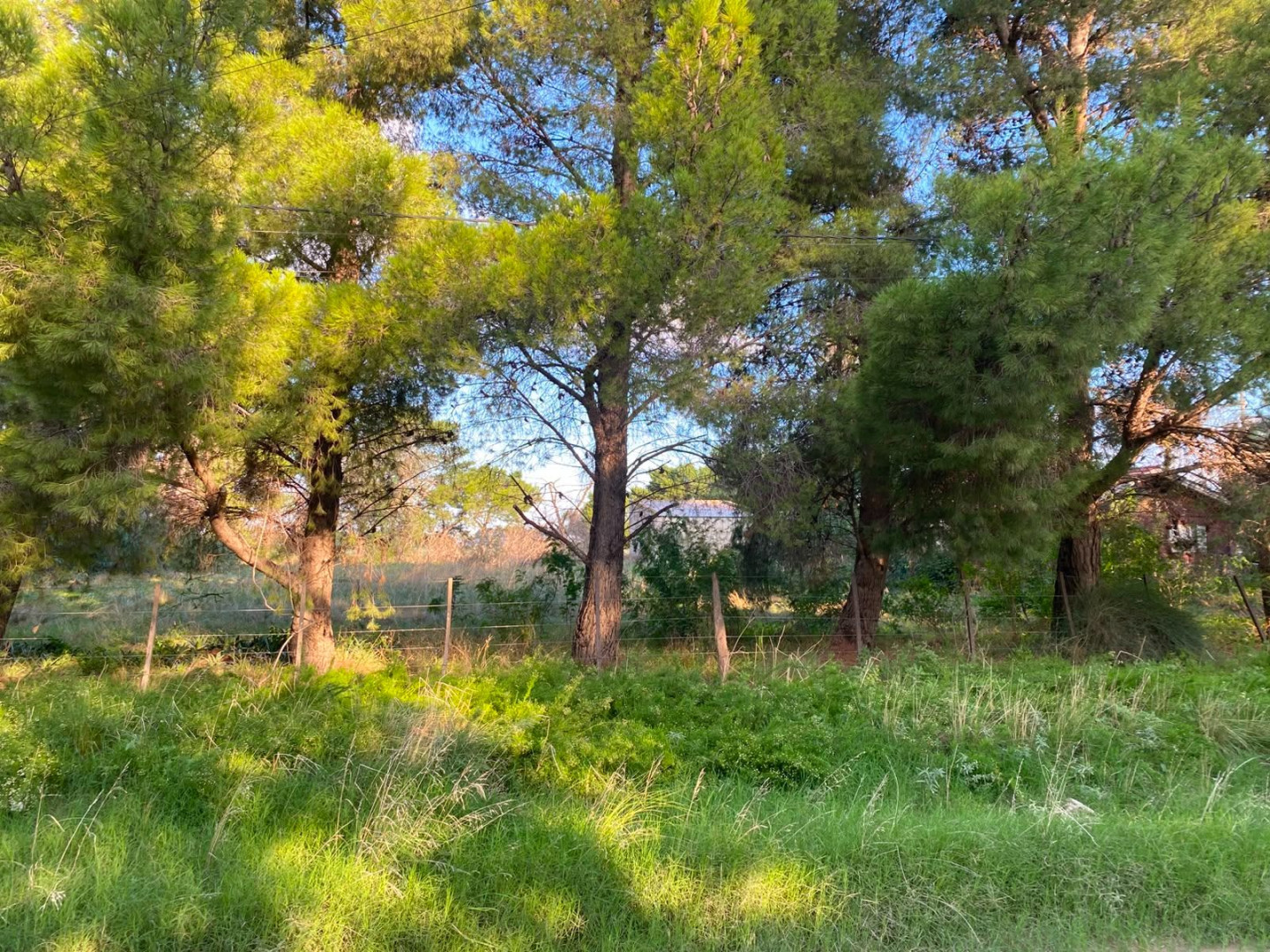 Casaquinta en Venta en Paula Albarracin 396,  Bahía Blanca - Bahía Blanca Propiedades | SITIO OFICIAL l