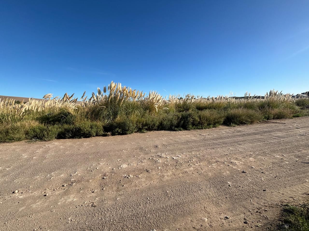 Terreno en Venta  El Sauce, Monte Hermoso - Bahía Blanca Propiedades | SITIO OFICIAL l