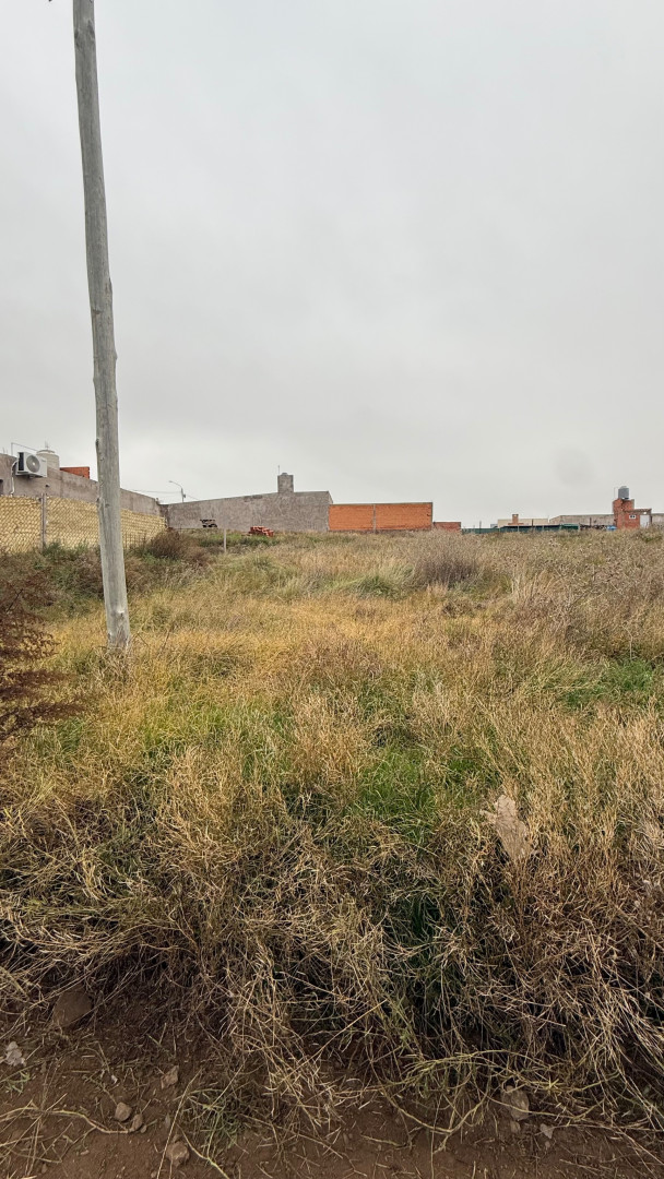 Terreno en Venta en Guardia Vieja 2300,  Bahía Blanca - Bahía Blanca Propiedades | SITIO OFICIAL l