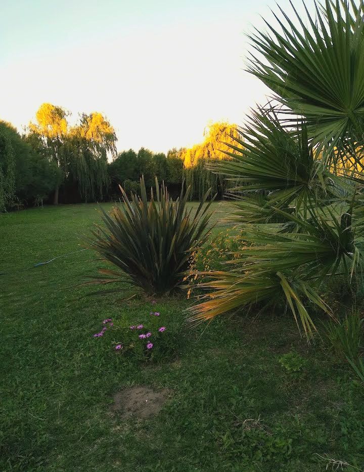 Casa en Alquiler en Andrade 600,  Punta Alta - Bahía Blanca Propiedades | SITIO OFICIAL l