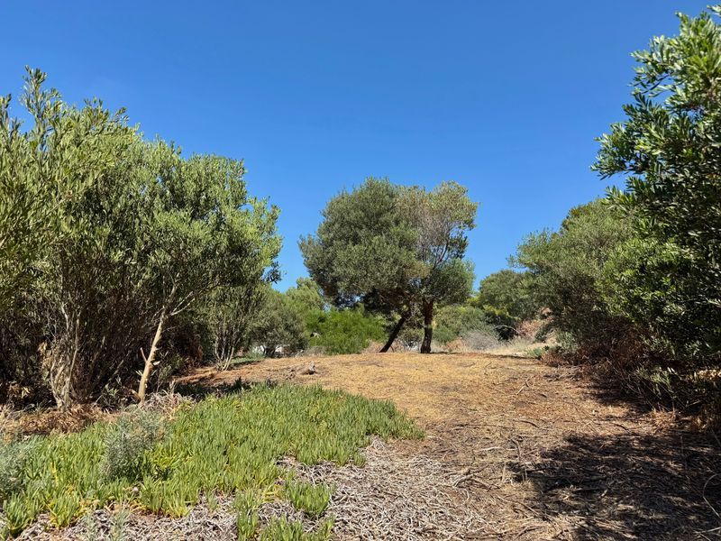 Terreno en Venta en La Florida, El Sauce, Monte Hermoso - Bahía Blanca Propiedades | SITIO OFICIAL l