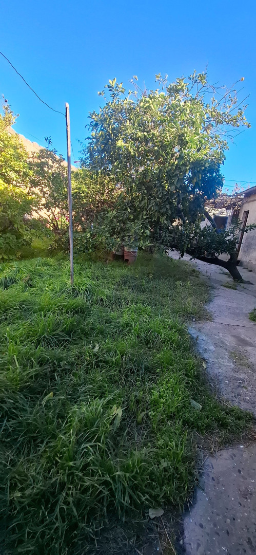 Casa en Venta en Chaco 1300,  Bahía Blanca - Bahía Blanca Propiedades | SITIO OFICIAL l