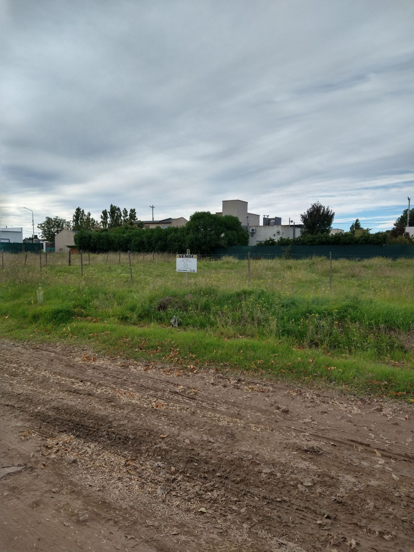 Terreno en Venta en Berta Castañaga 1500, Altos del Pinar, Bahía Blanca - Bahía Blanca Propiedades | SITIO OFICIAL l