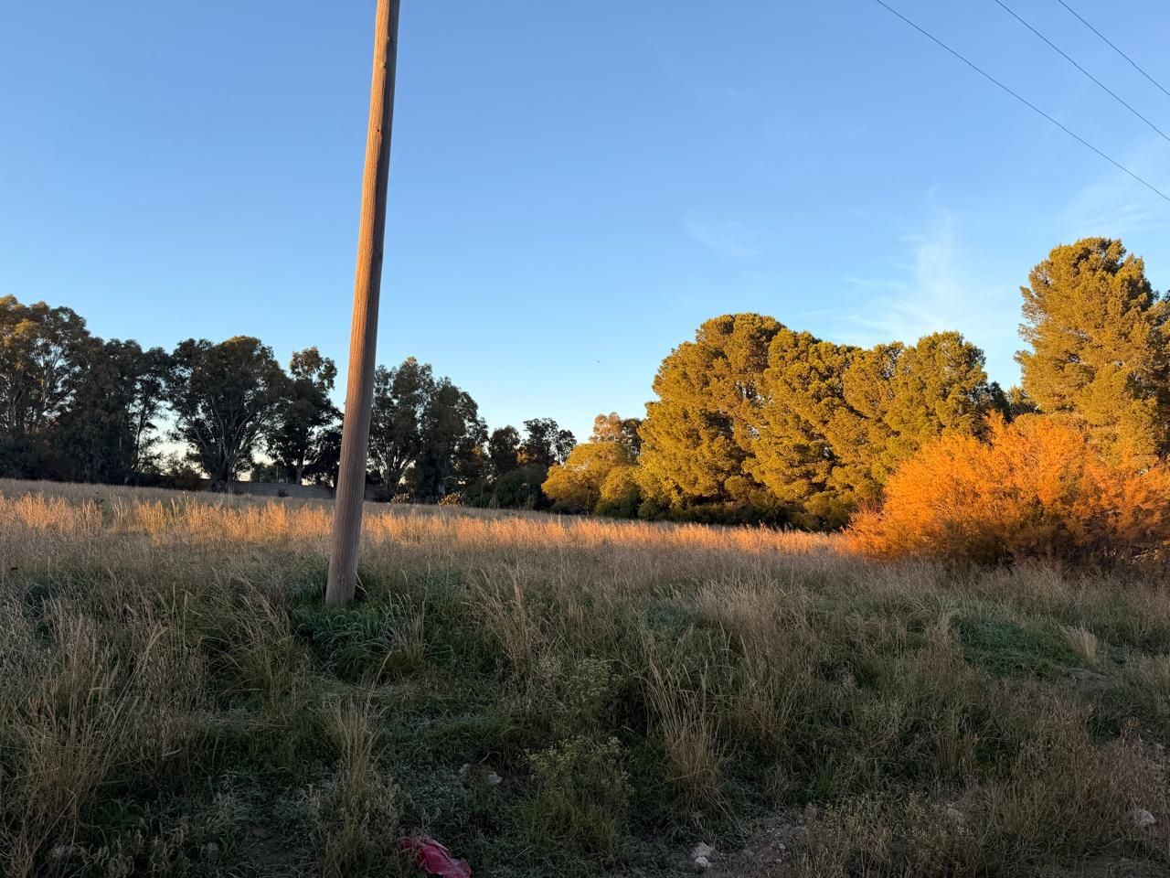 Terreno en Venta en Arlt 1960,  Bahía Blanca - Bahía Blanca Propiedades | SITIO OFICIAL l