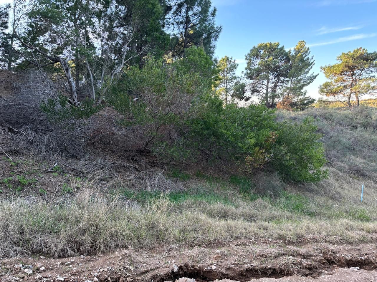 Terreno en Venta  Pinar del Golf, Monte Hermoso - Bahía Blanca Propiedades | SITIO OFICIAL l